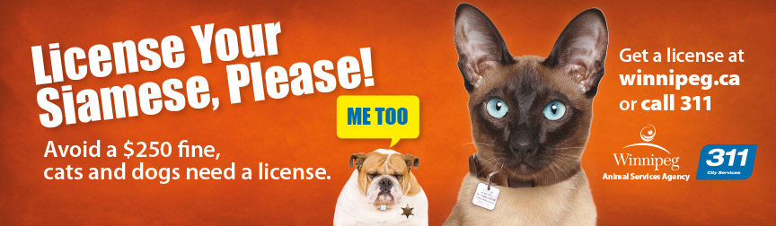 License your siamese, please!