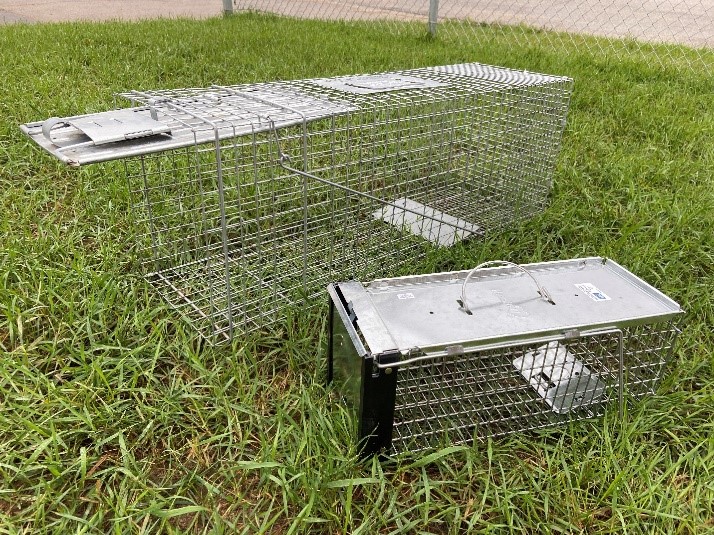 Live release trap