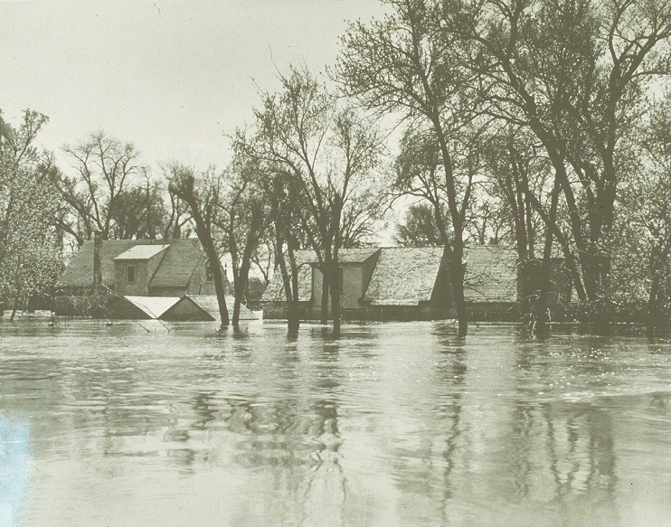 Houses in the neighbourhood of Elm Park
