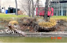 riverbank erosion