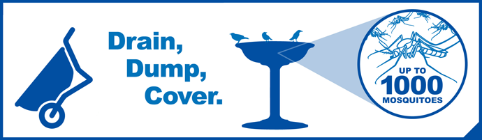 Drain, Dump, Cover