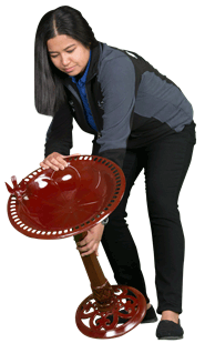  A single birdbath filled with standing water can generate as many as 1,000 adult nuisance mosquitoes