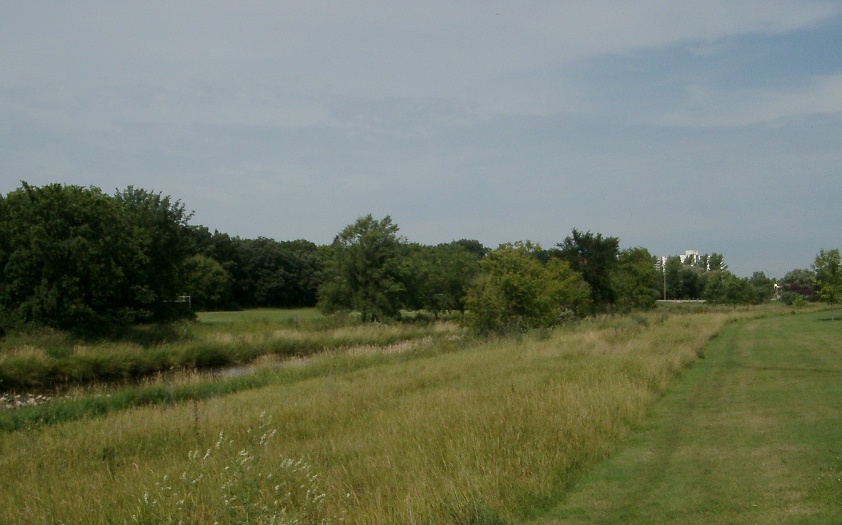 No mow zone along Sturgeon Creek