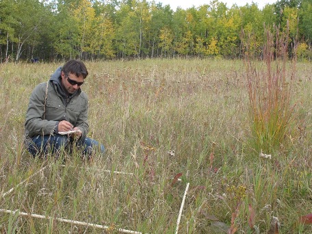 quadrat sampling in Assiniboine Forest