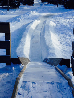 Toboggan Slide at Fraser's Grove