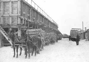 Hauling firewood