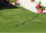 Sump pump discharge
