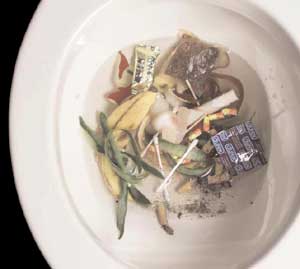 Photo of prohibited materials in a toilet