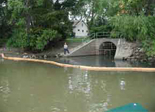Sewer overflows