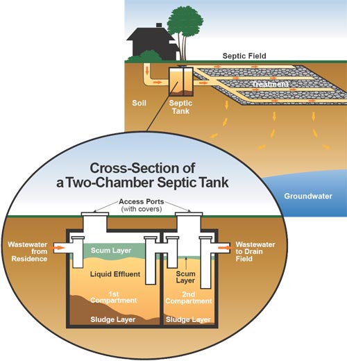 Septic system illustration