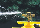 Lawn sprinkler photo