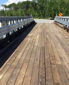 Falcon River Bridge