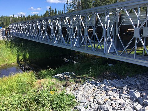 Falcon River Bridge