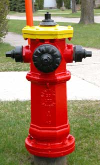 Domestic hydrant photo
